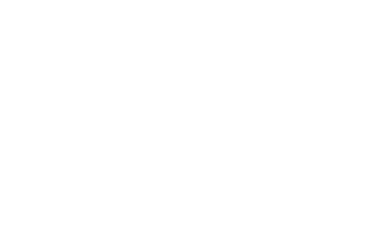 11. LIVENTUS