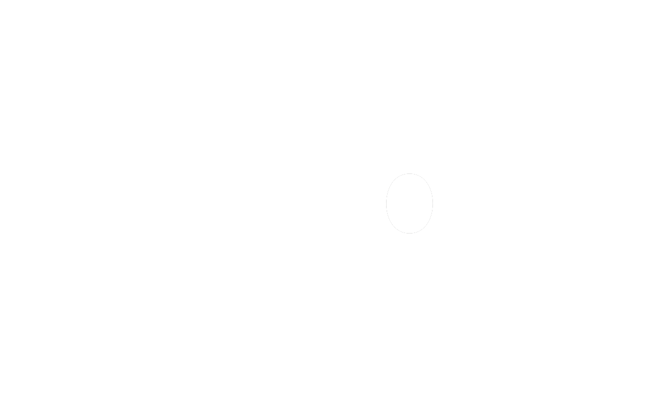17. WOLKE
